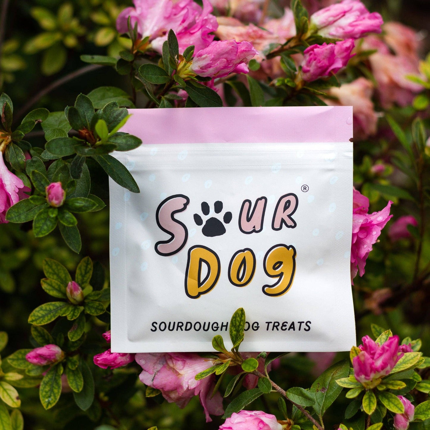 Sourdough Dog Treat Sampler Pouch