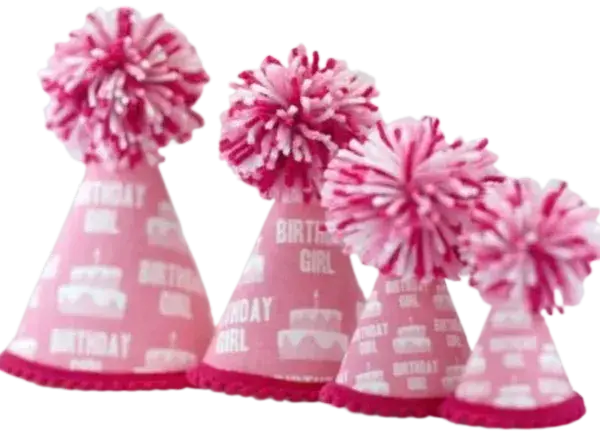 Bday Girl Party Hat
