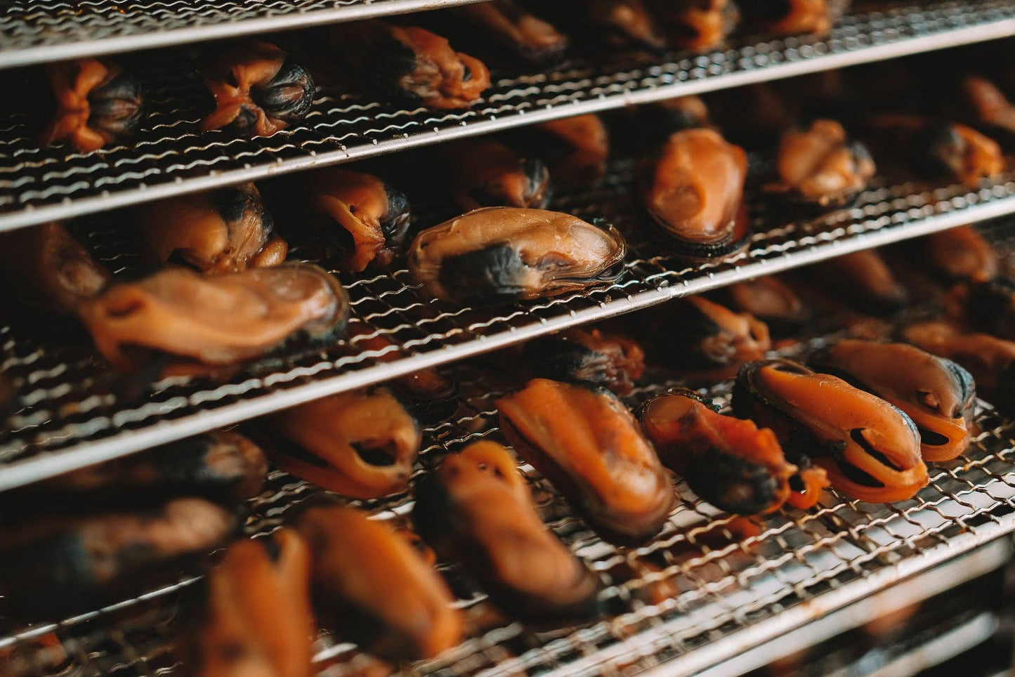Dehydrated Green Lipped Mussels