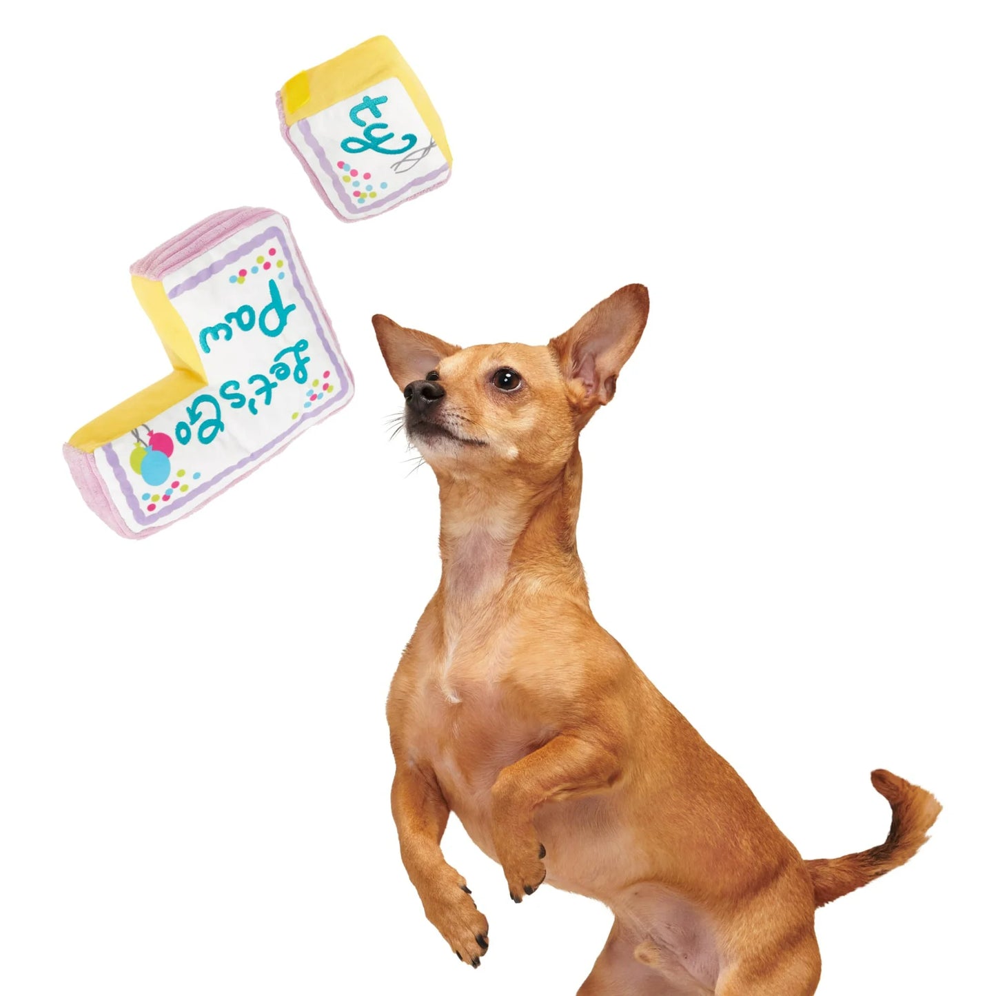 Let's Go Pawty Dog Toy