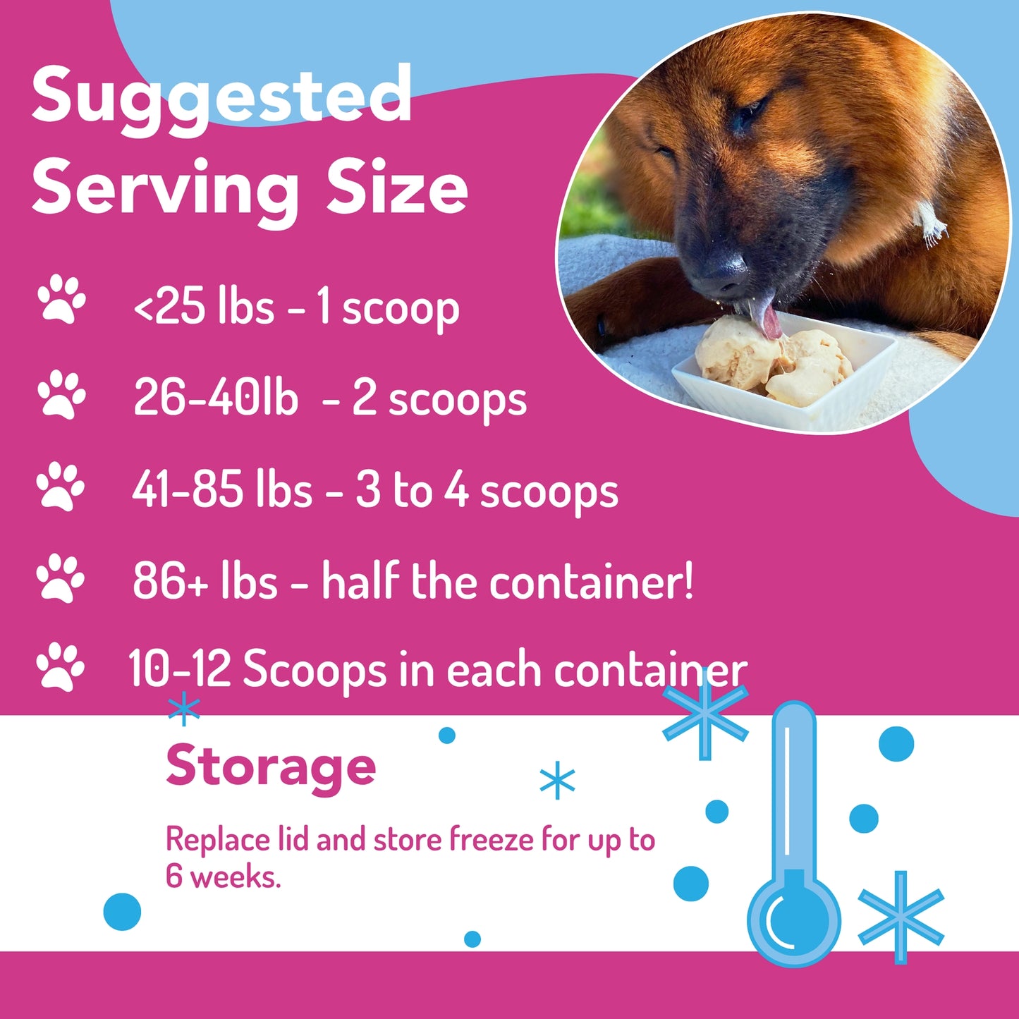 Birthday Cake Dog Ice Cream