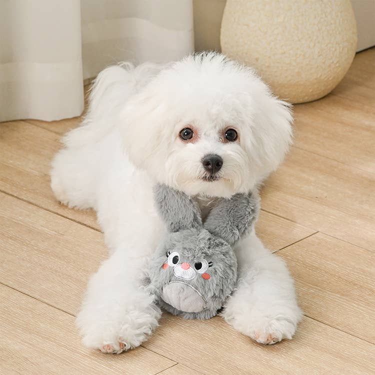 Bunny Dog Toy