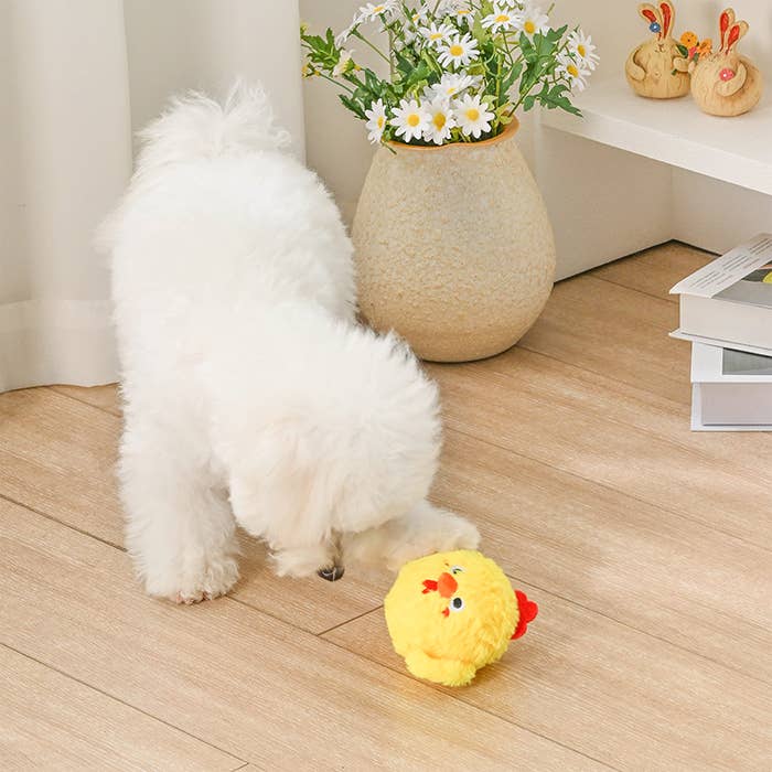 Baby Chick Dog Toy
