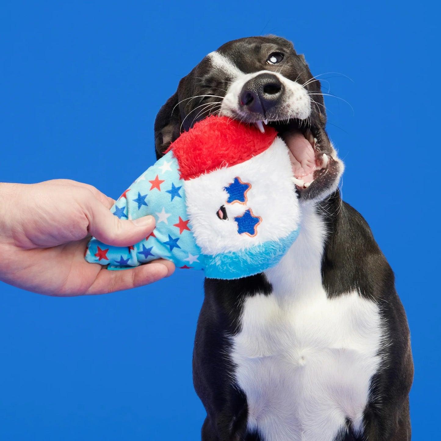 Liberty Cone Dog Toy