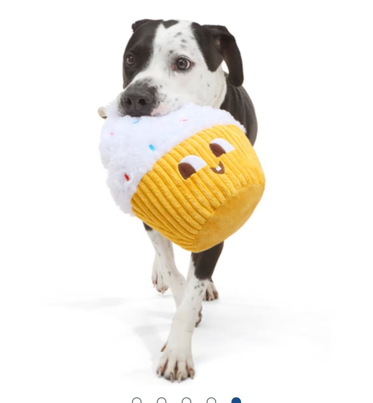 Colossal Cup Kate Dog Toy