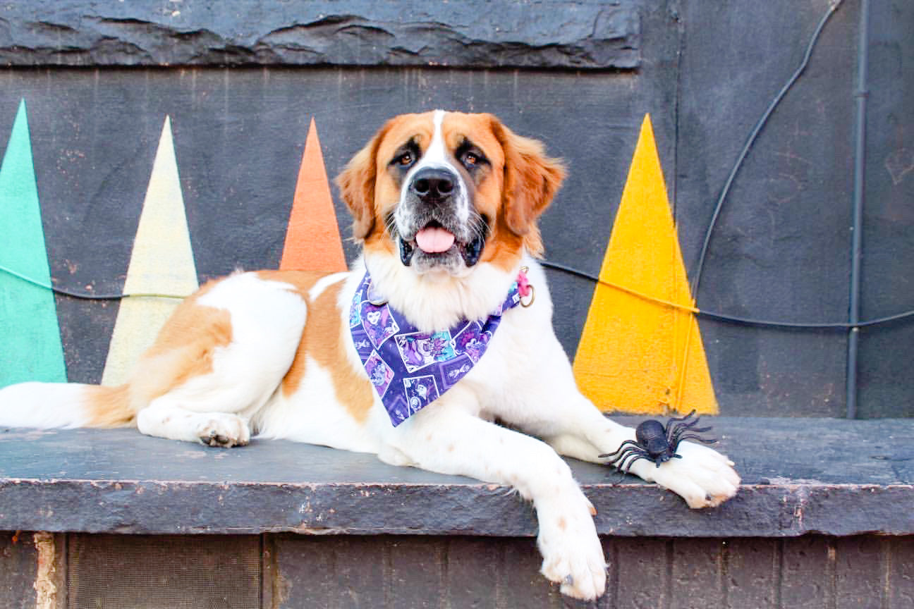 Chillin Like A Villain Bandana