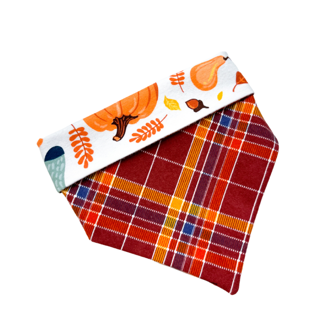 Let's Get Cozy Bandana