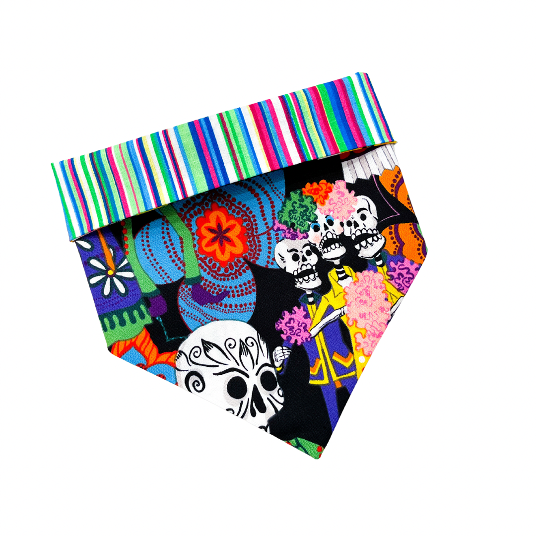 Mis Novios Bandana