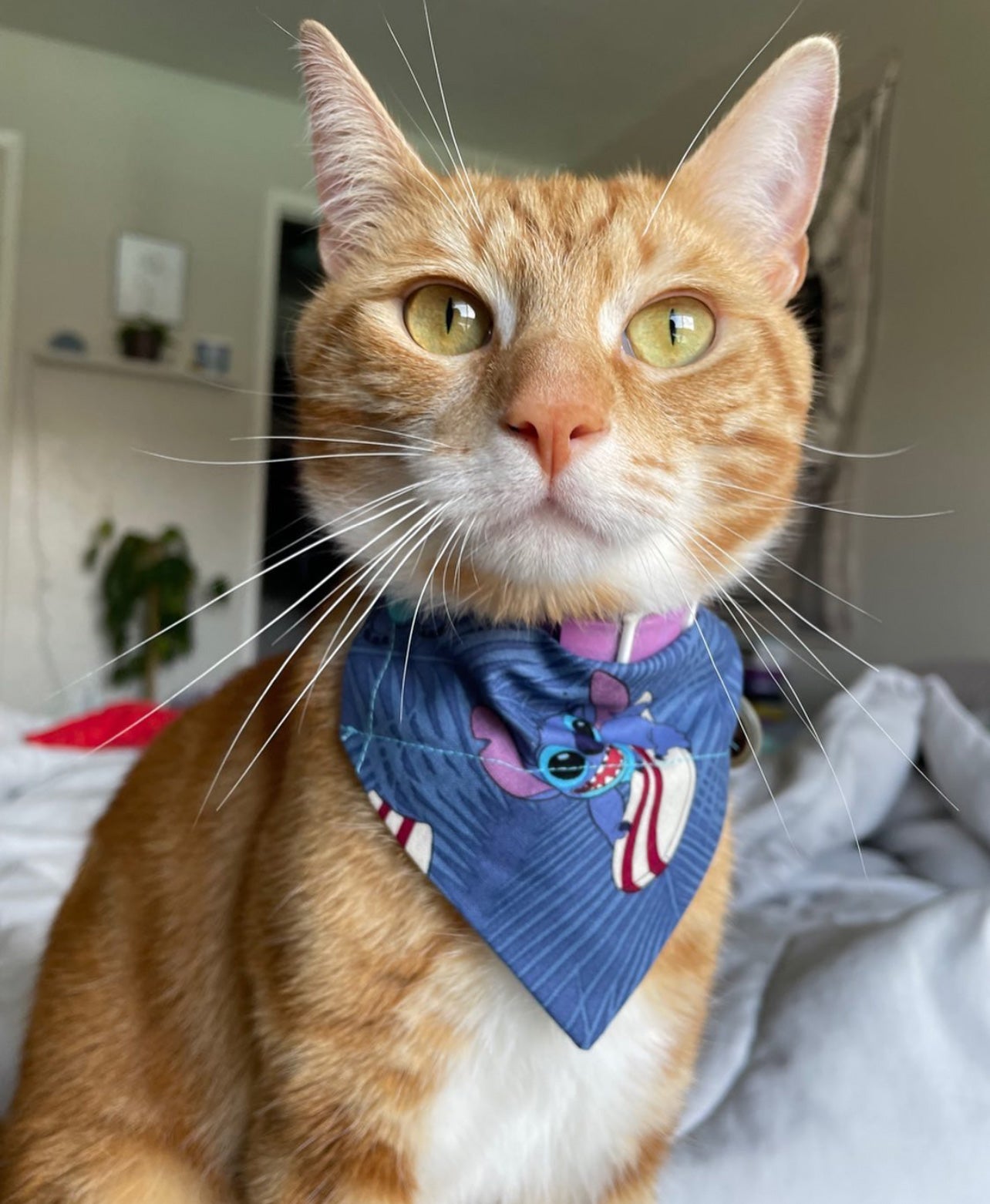 Surfing 626 Bandana