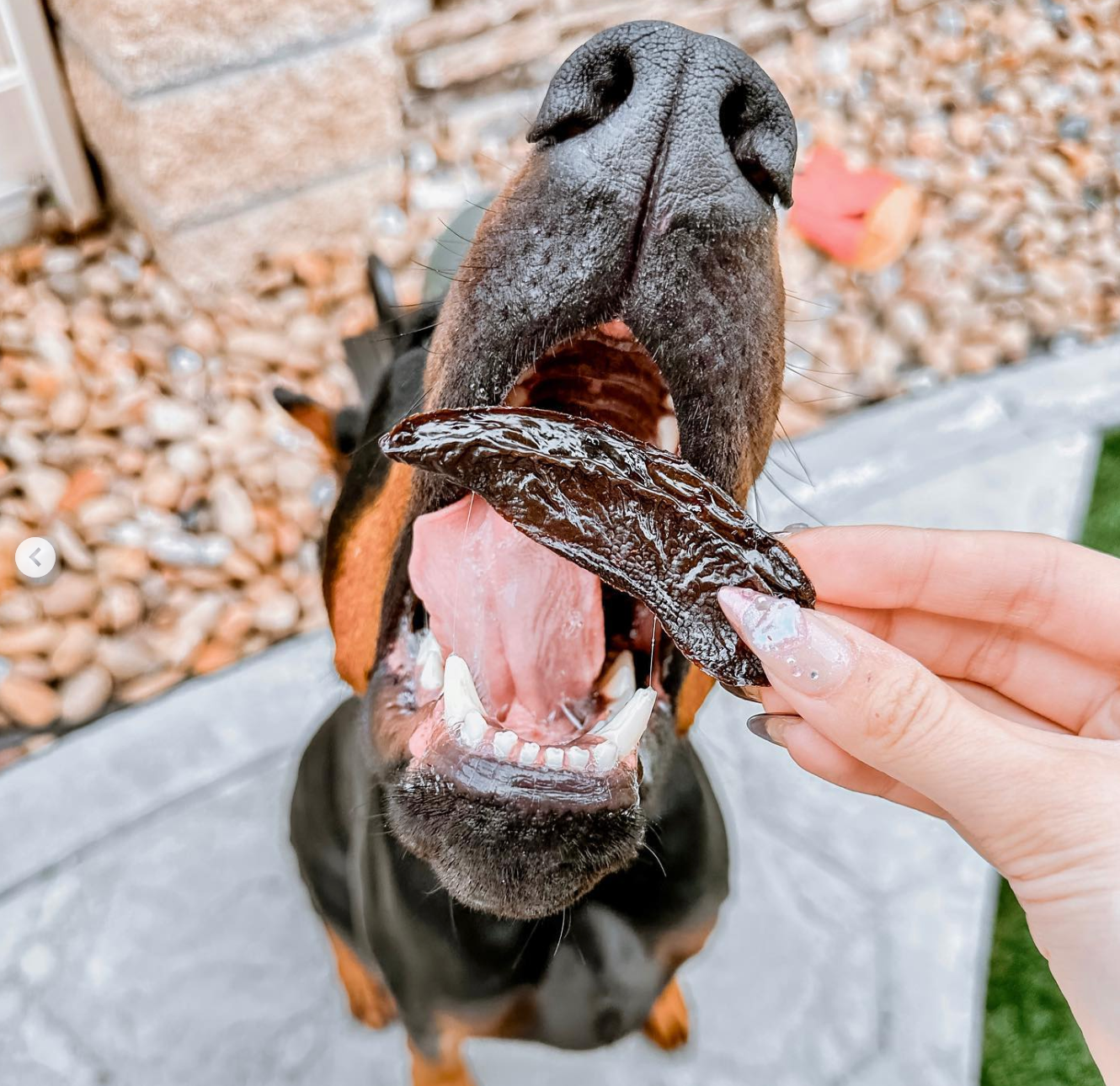 Treats