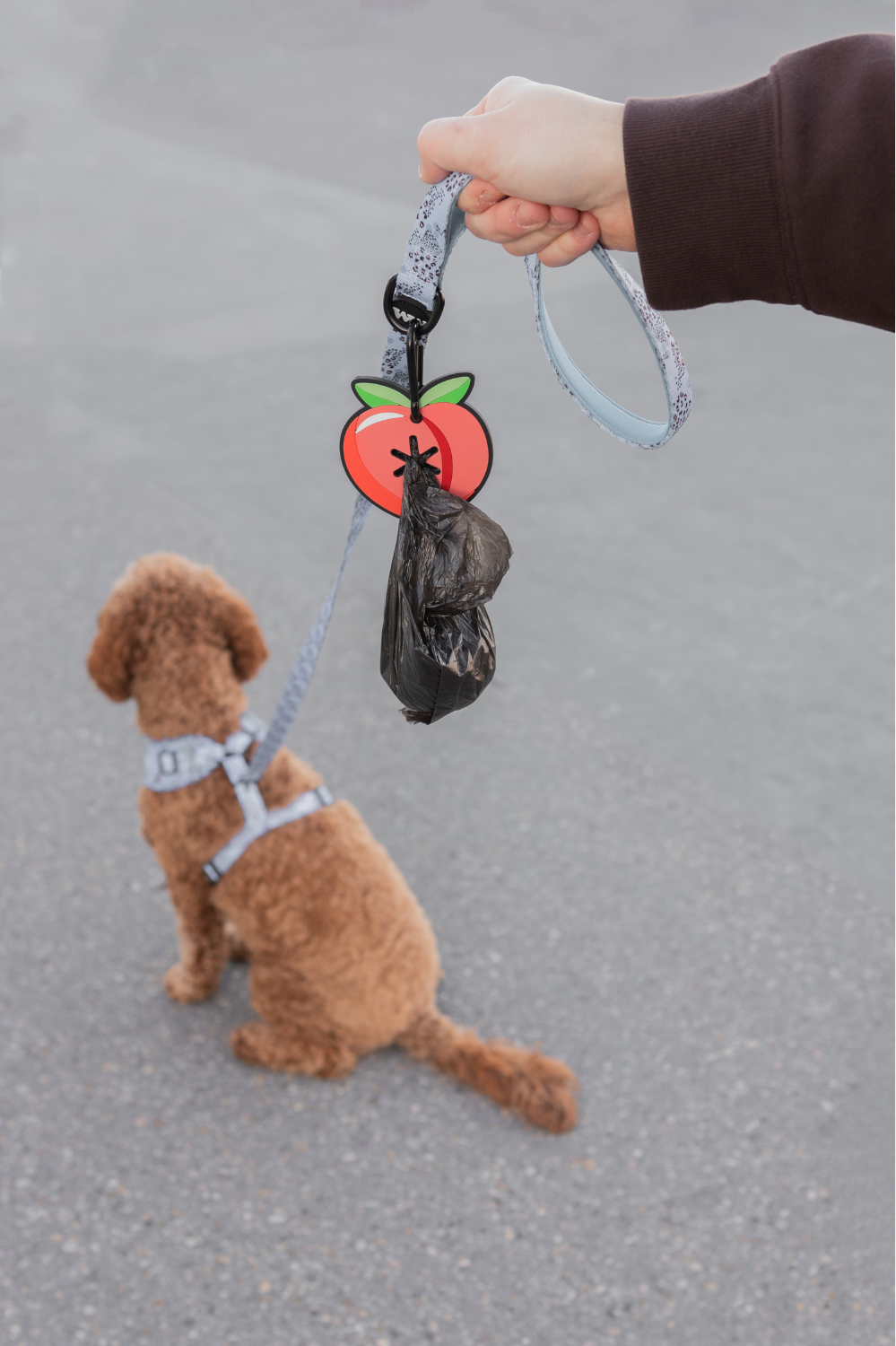 Walking Essentials