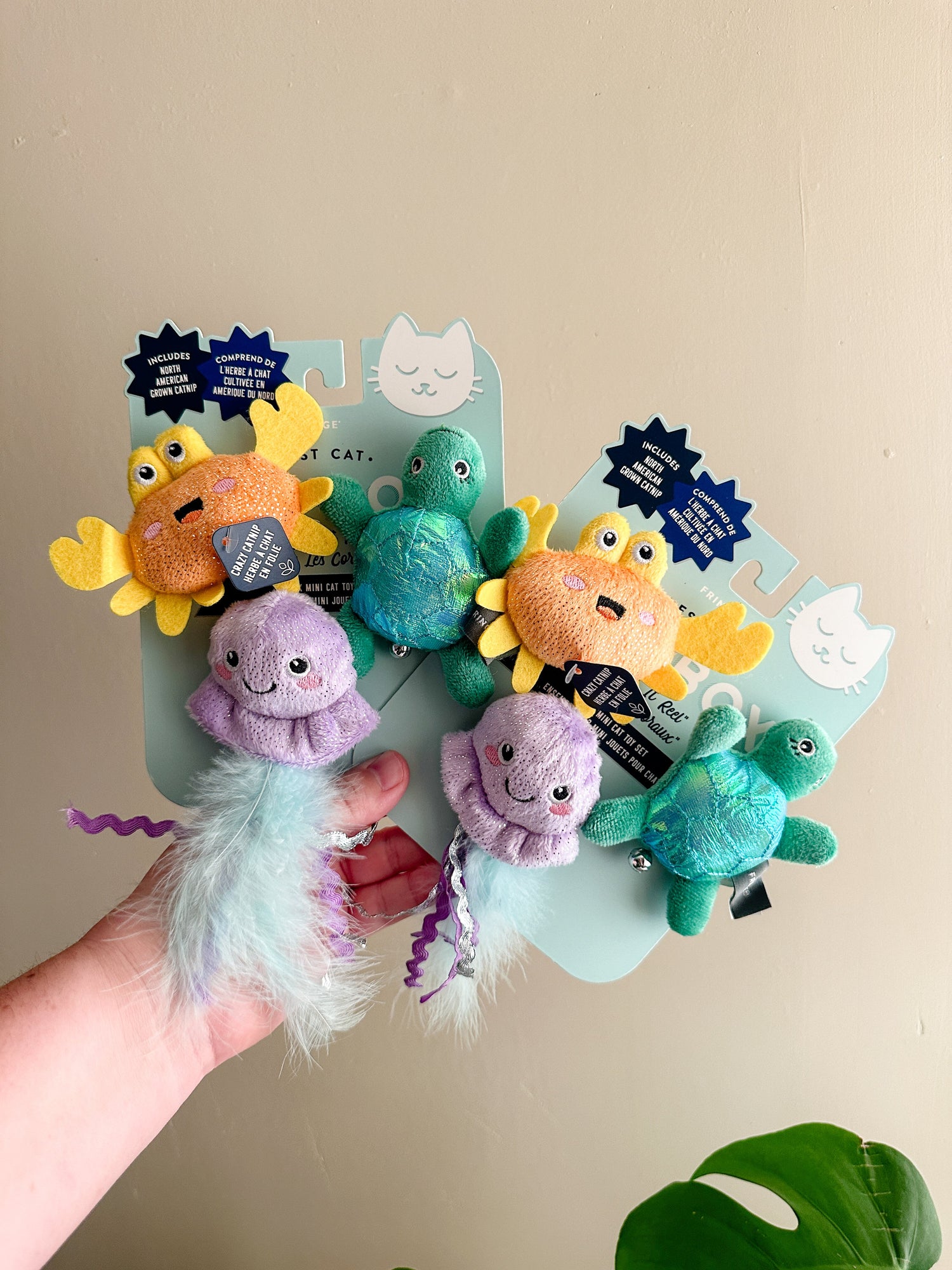 Cat Toys