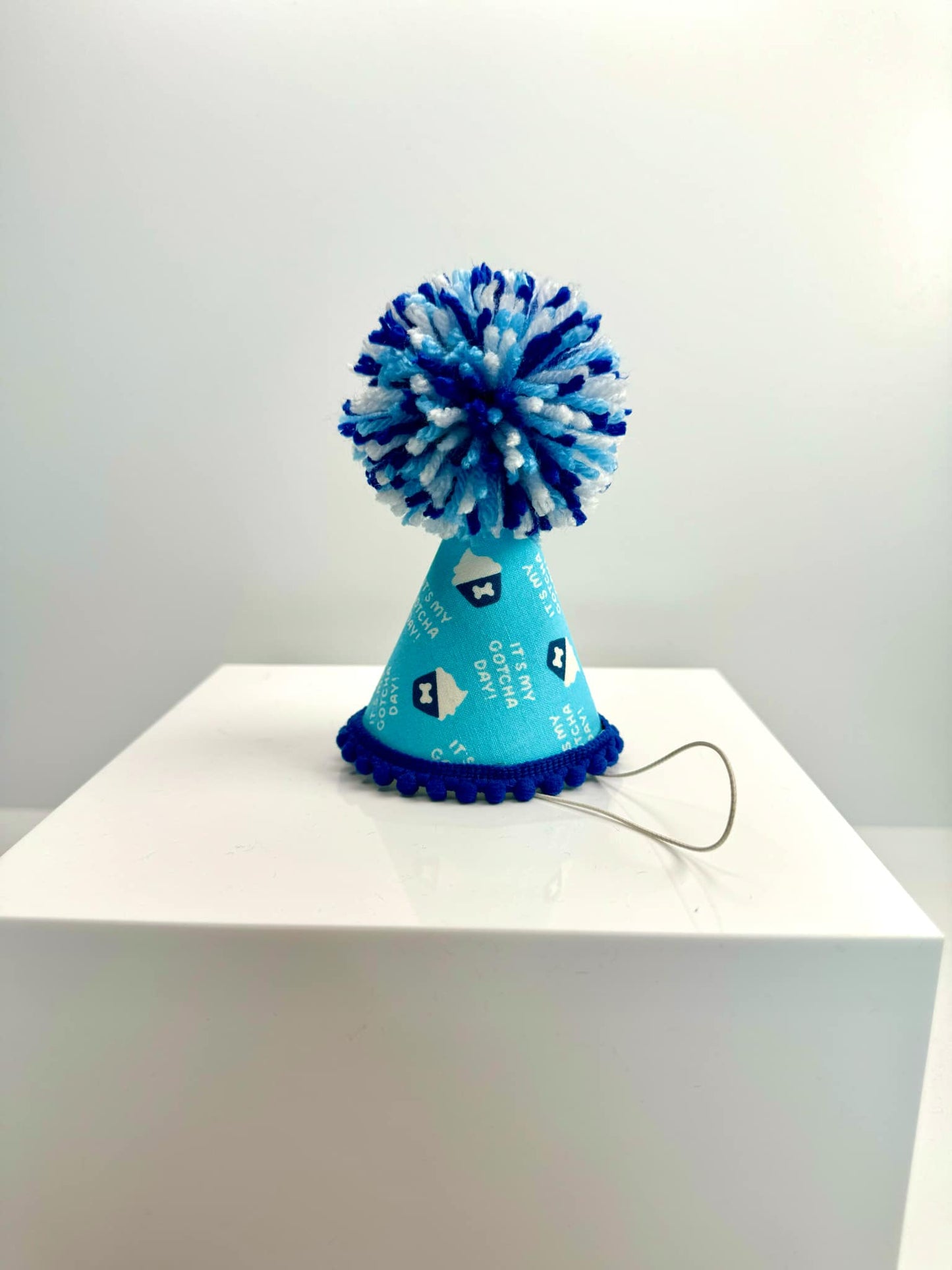 Gotcha Day Blue Party Hat