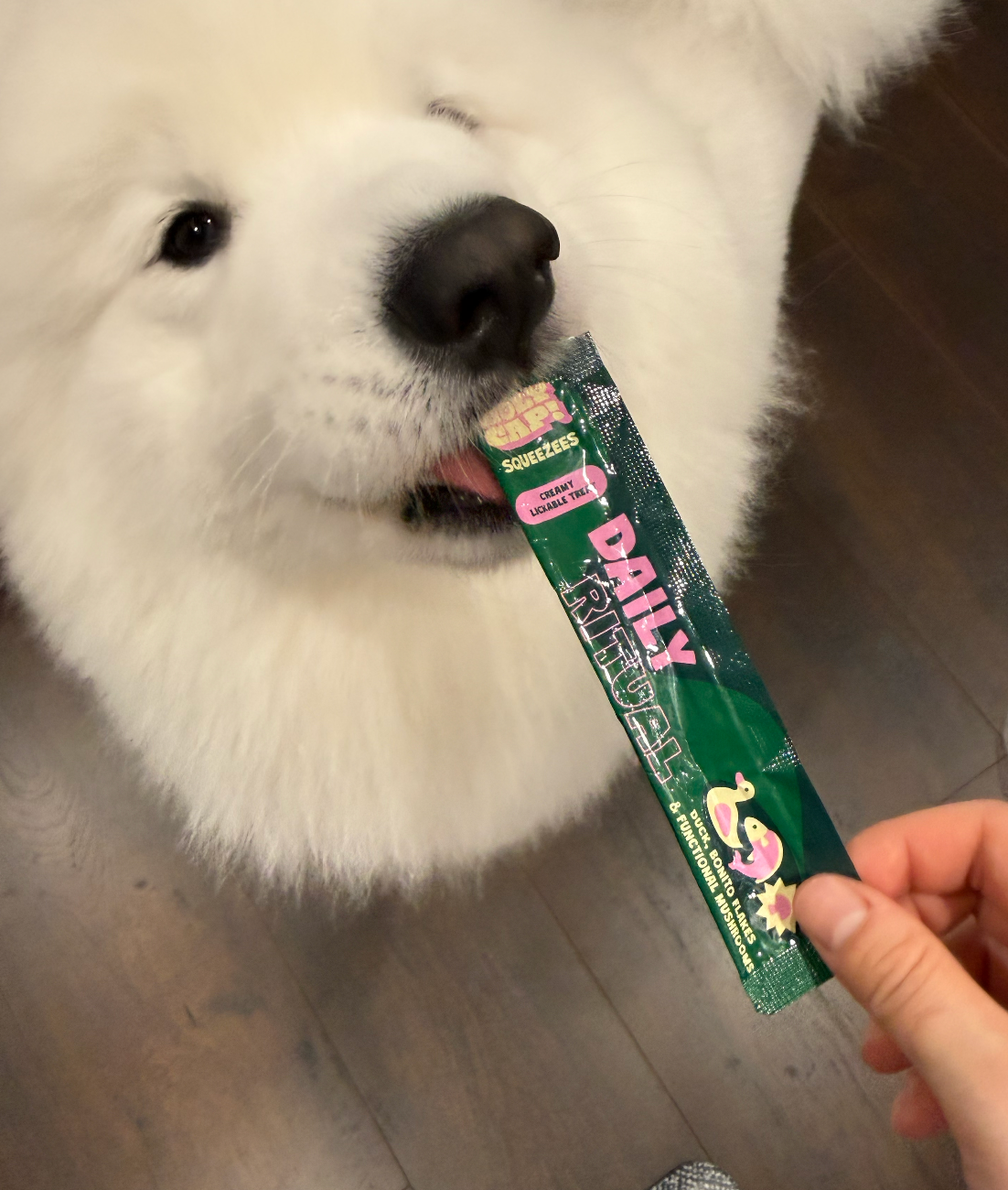 Daily Ritual Lickable Treats