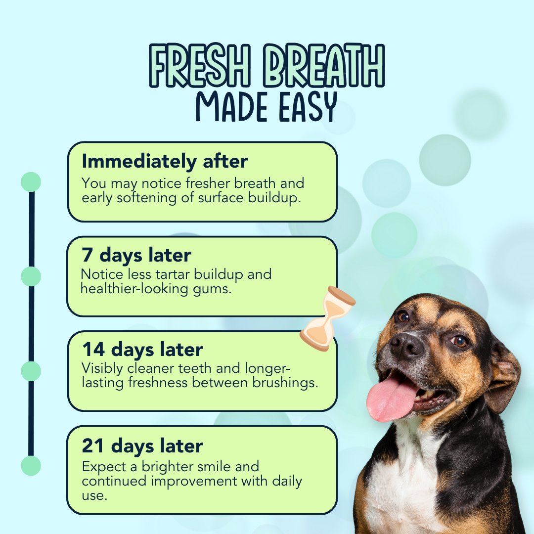 Dental Dust Dental Powder
