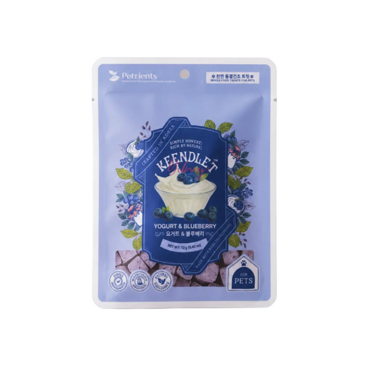 Yogurt, Cheese & Blueberry Mini Treat