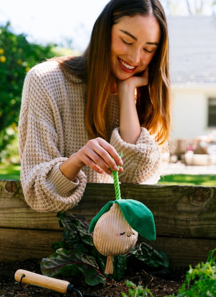 Onion Dog Toy