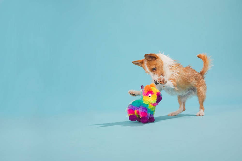 Full O' Fluff Piñata