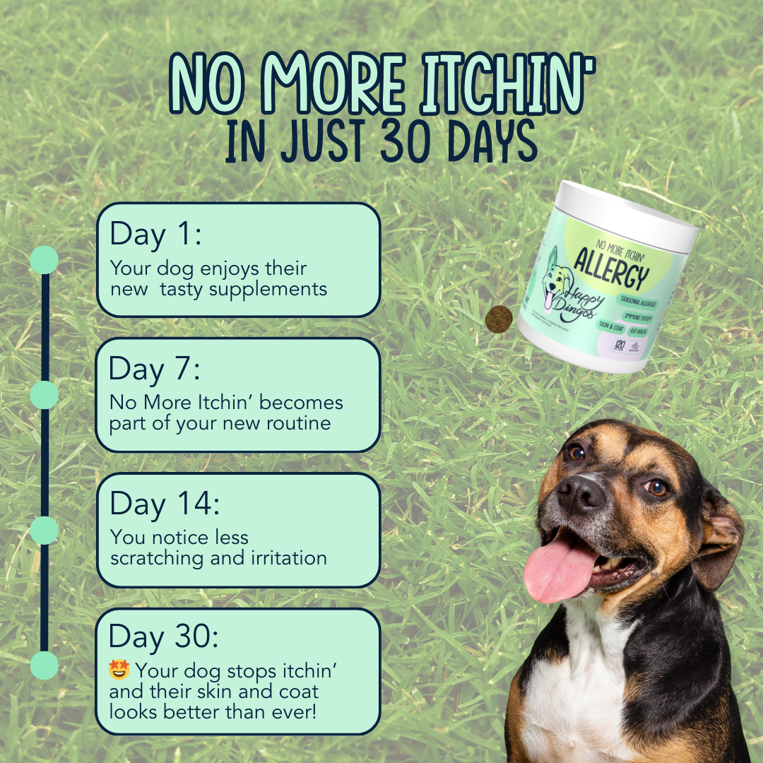 No More Itchin' - Allergy & Immune Supplement