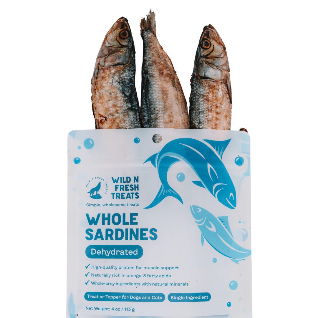 Dehydrated Whole Sardines
