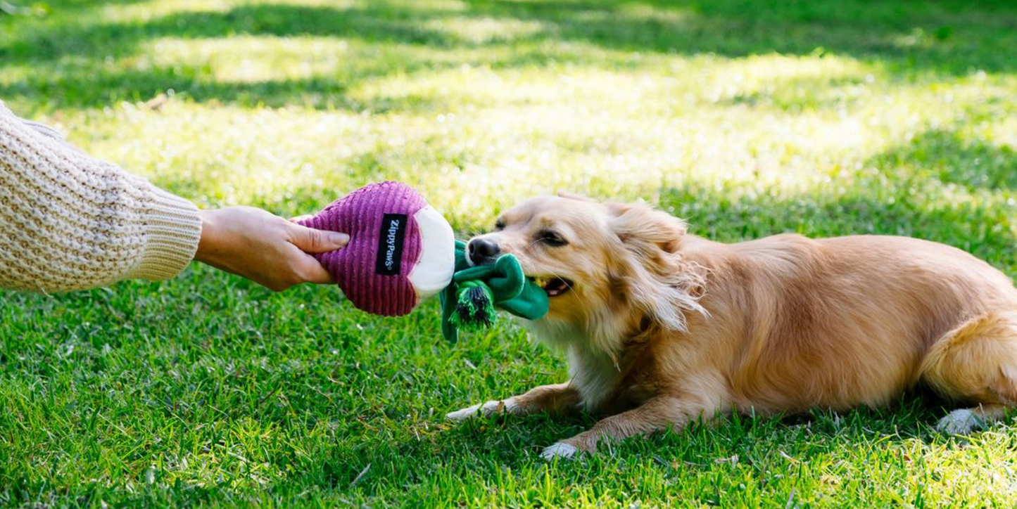 Radish Dog Toy