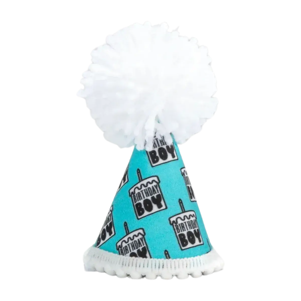 Birthday Boy Party Hat