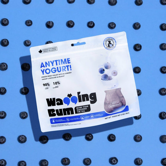 Freeze-dried Greek Yogurt with Blueberry