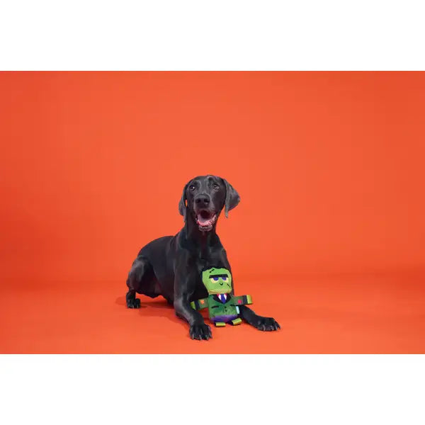Frankenstein’s Party Plush Dog Toy