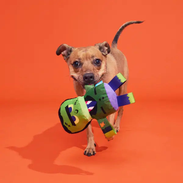Frankenstein’s Party Plush Dog Toy