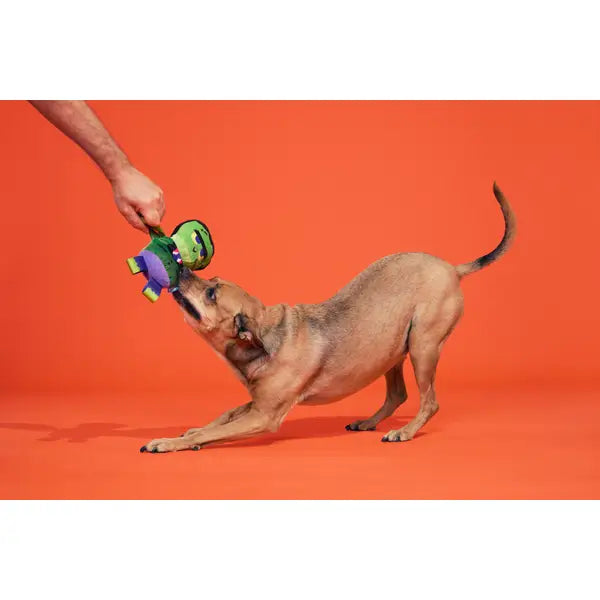 Frankenstein’s Party Plush Dog Toy