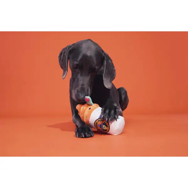 Witch's Brew Plush Dog Toy