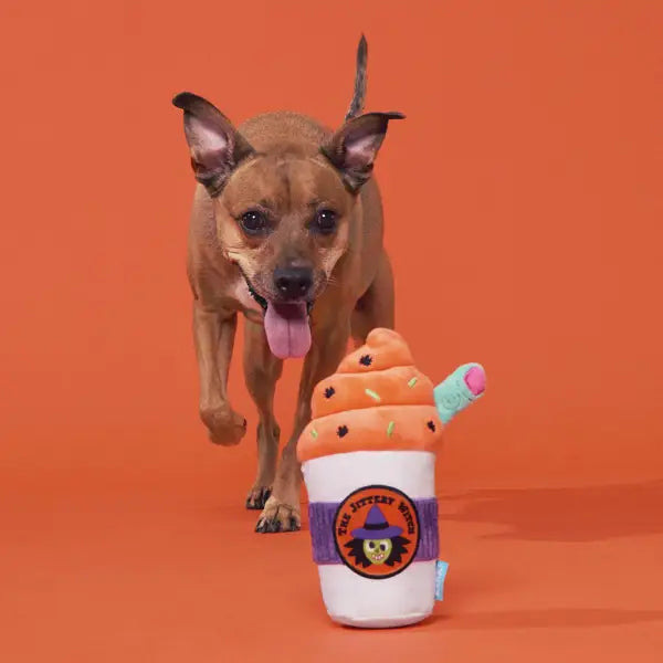 Witch's Brew Plush Dog Toy