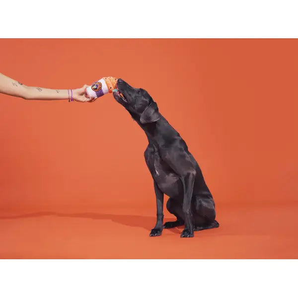 Witch's Brew Plush Dog Toy