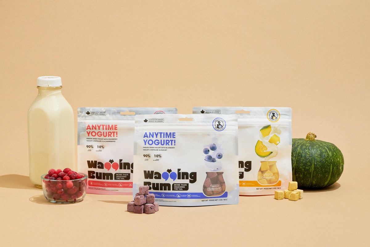 Freeze-dried Greek Yogurt with Pumpkin