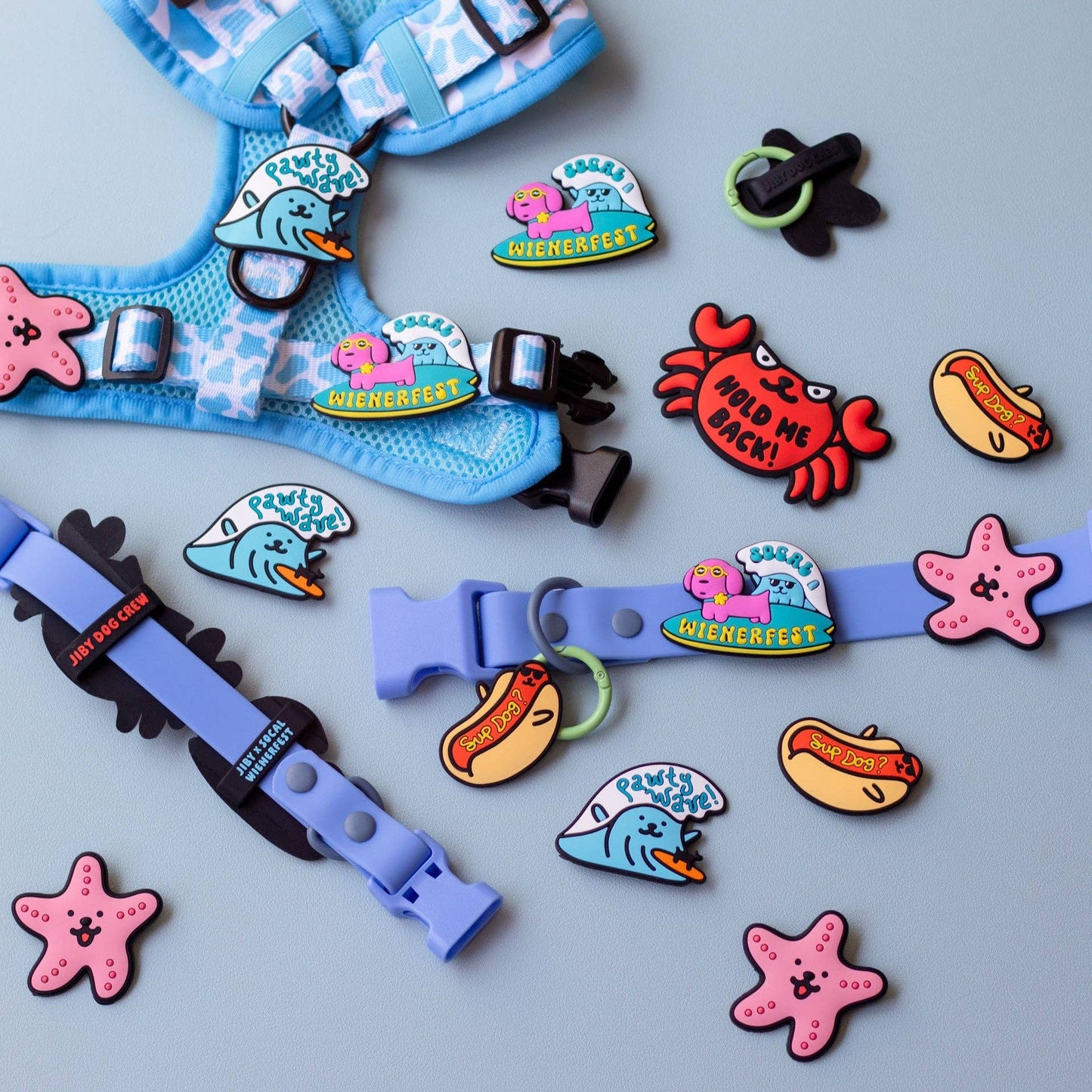 Starfish Jiby Dog Charm