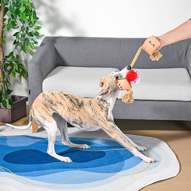 S'mores Rope Toy
