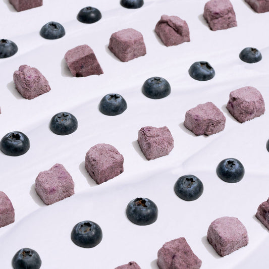 Freeze-dried Greek Yogurt with Blueberry