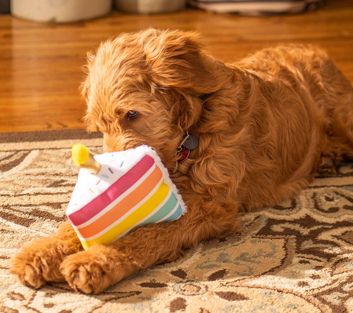 Birthday 5-Layer Cake Plush Dog Toy