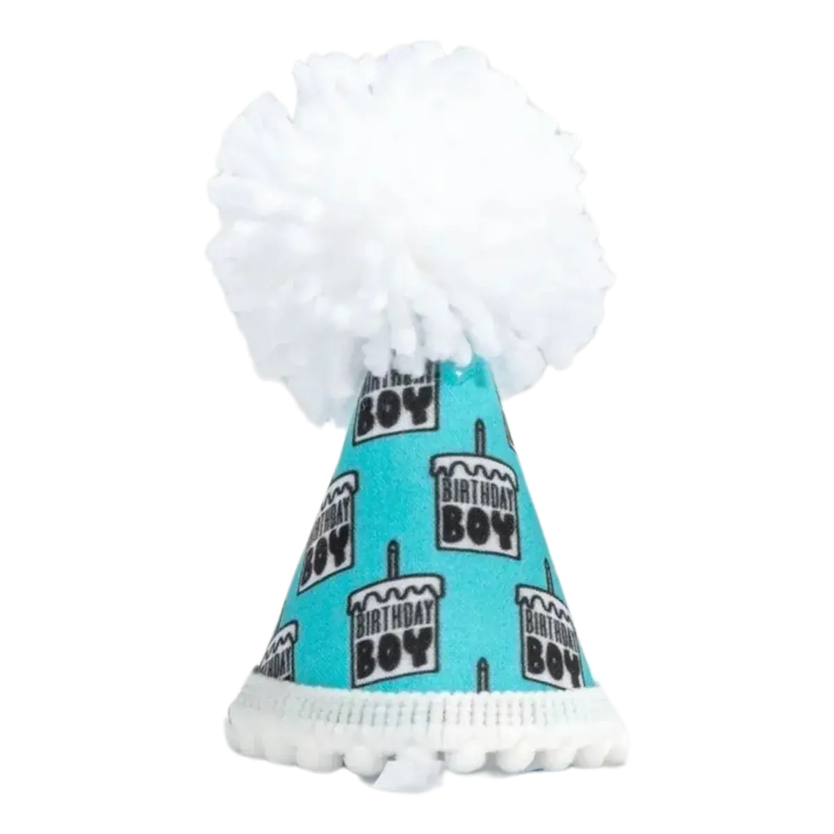 Birthday Boy Party Hat
