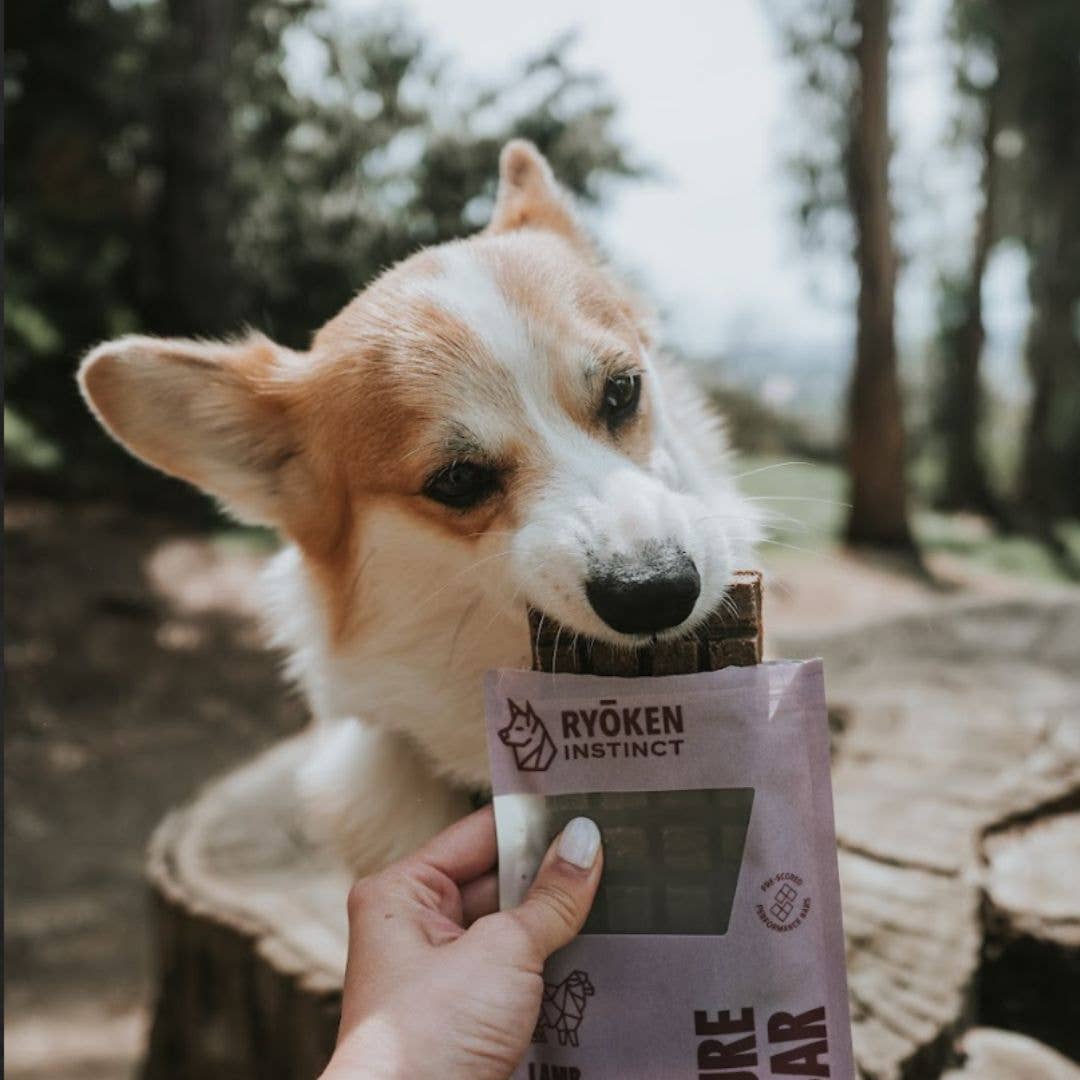 Lamb Treat & Snack Bar