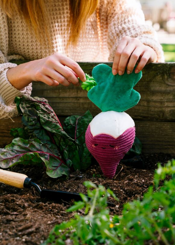 Radish Dog Toy