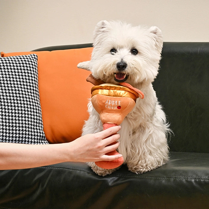 Apple Cider Cocktail Toy
