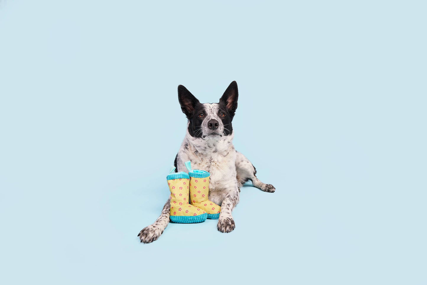 Smelly Wellies Dog Toy