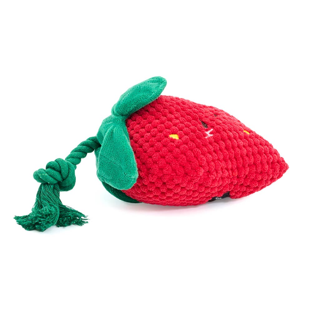 Strawberry Dog Toy