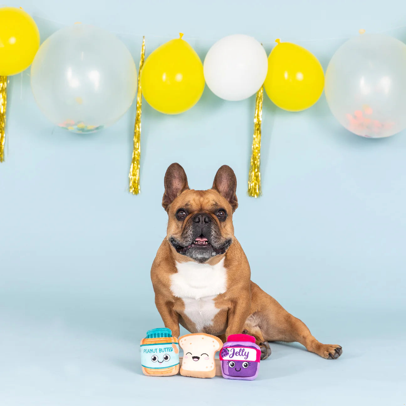 Sticky Situation Small Dog Toy