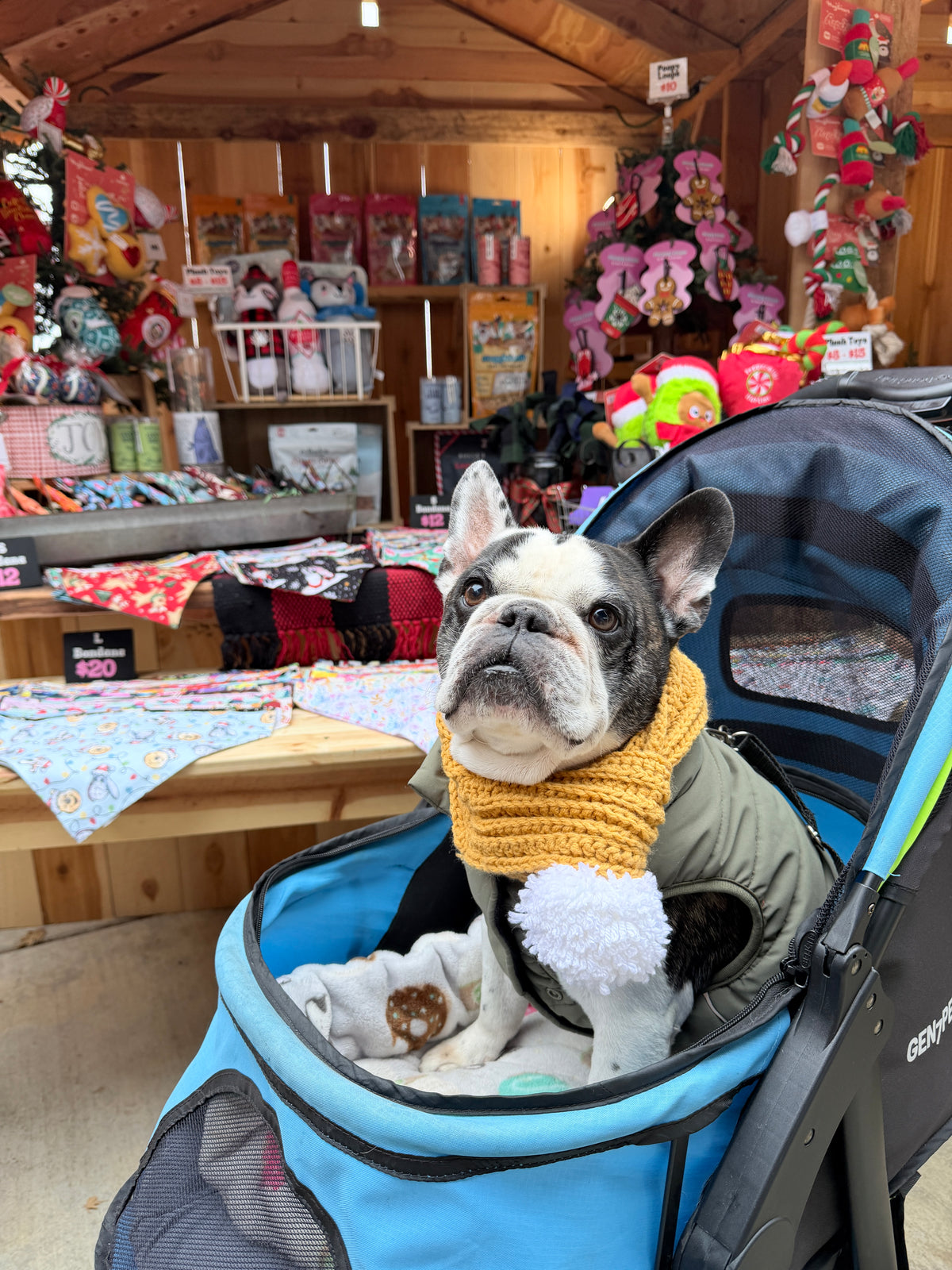 Midnight Dog Scarf