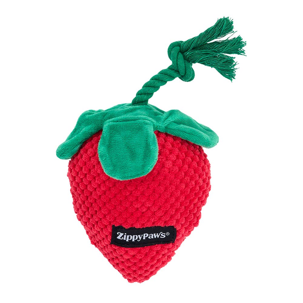 Strawberry Dog Toy