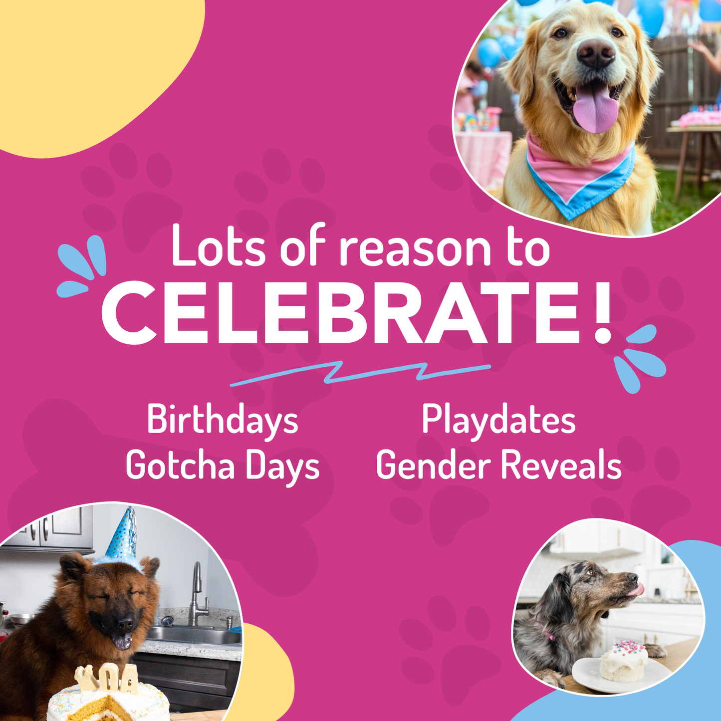 Dog Birthday Cake in A Cup - Peanut