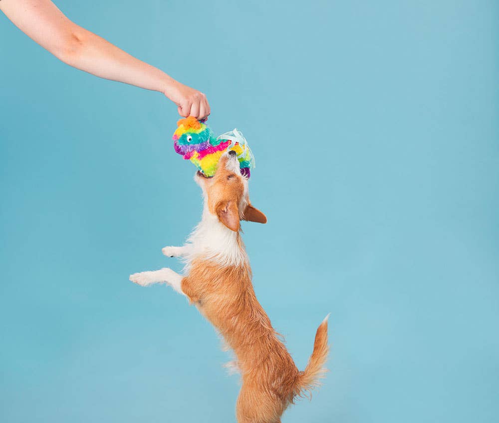 Full O' Fluff Piñata