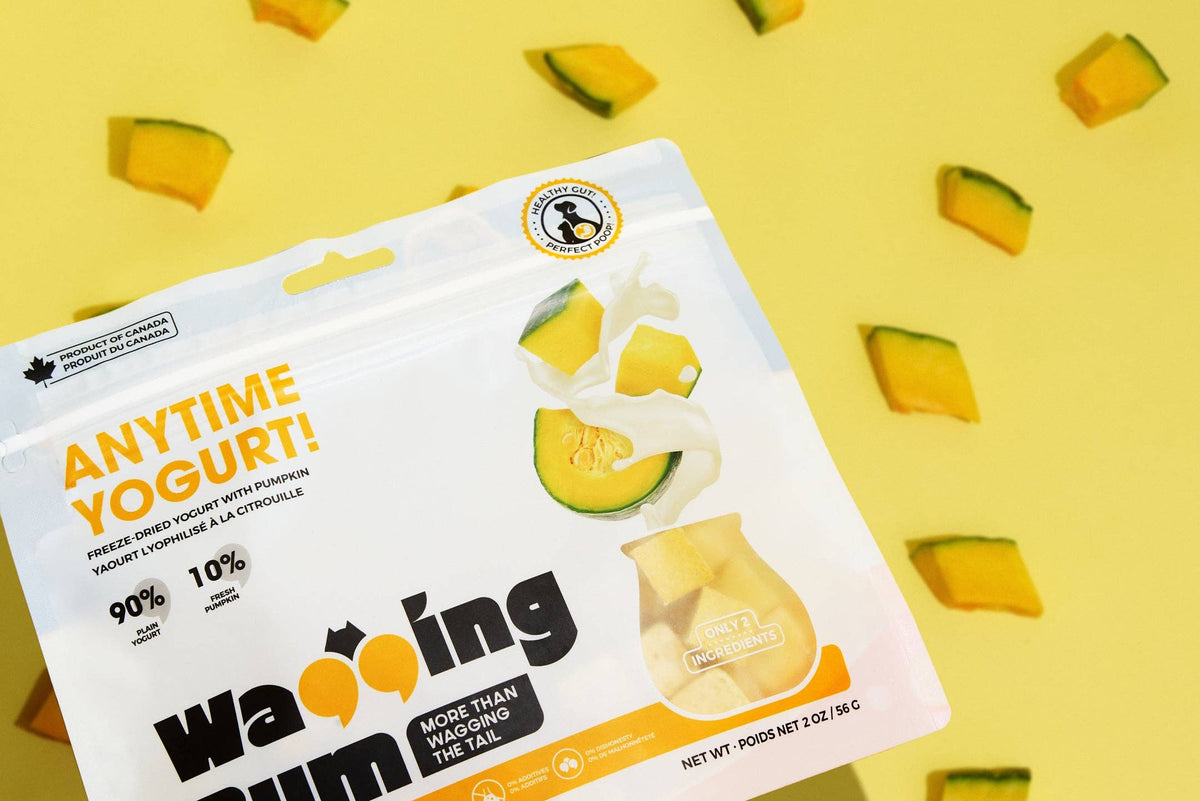 Freeze-dried Greek Yogurt with Pumpkin